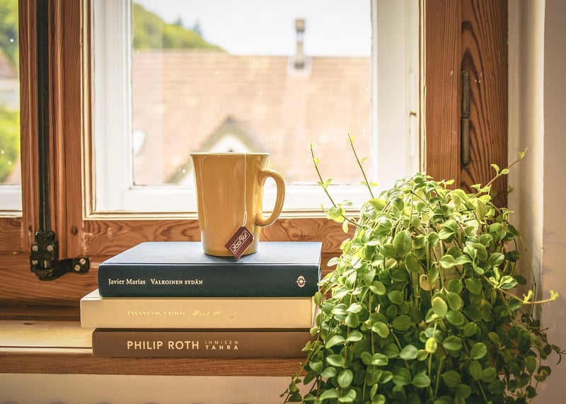 Caring for houseplants